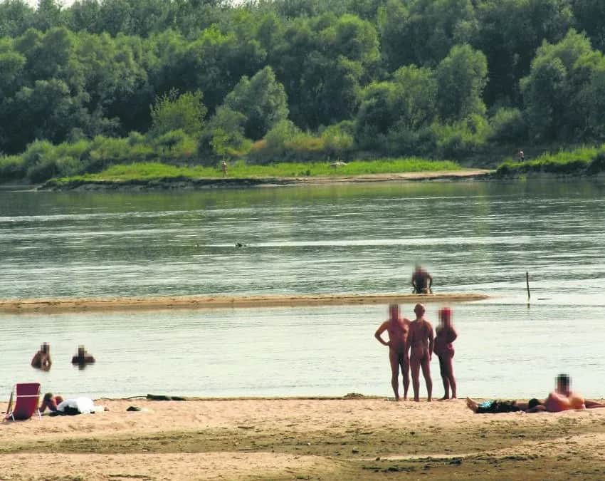 Plaża błota w Warszawie - kompletne informacje o plaży naturystów w Falenicy