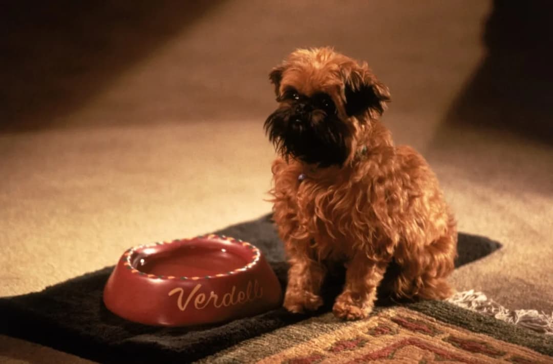 Film "Lepsze być nie może": Szczegółowa recenzja i głębsza analiza