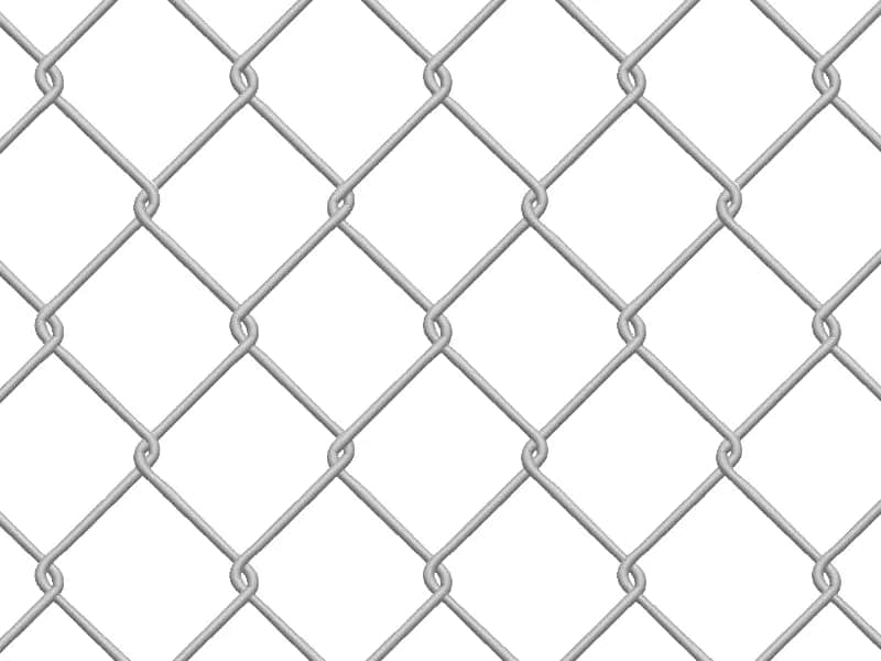 Ile kosztuje metr siatki ogrodowej? Ceny i porównanie rodzajów